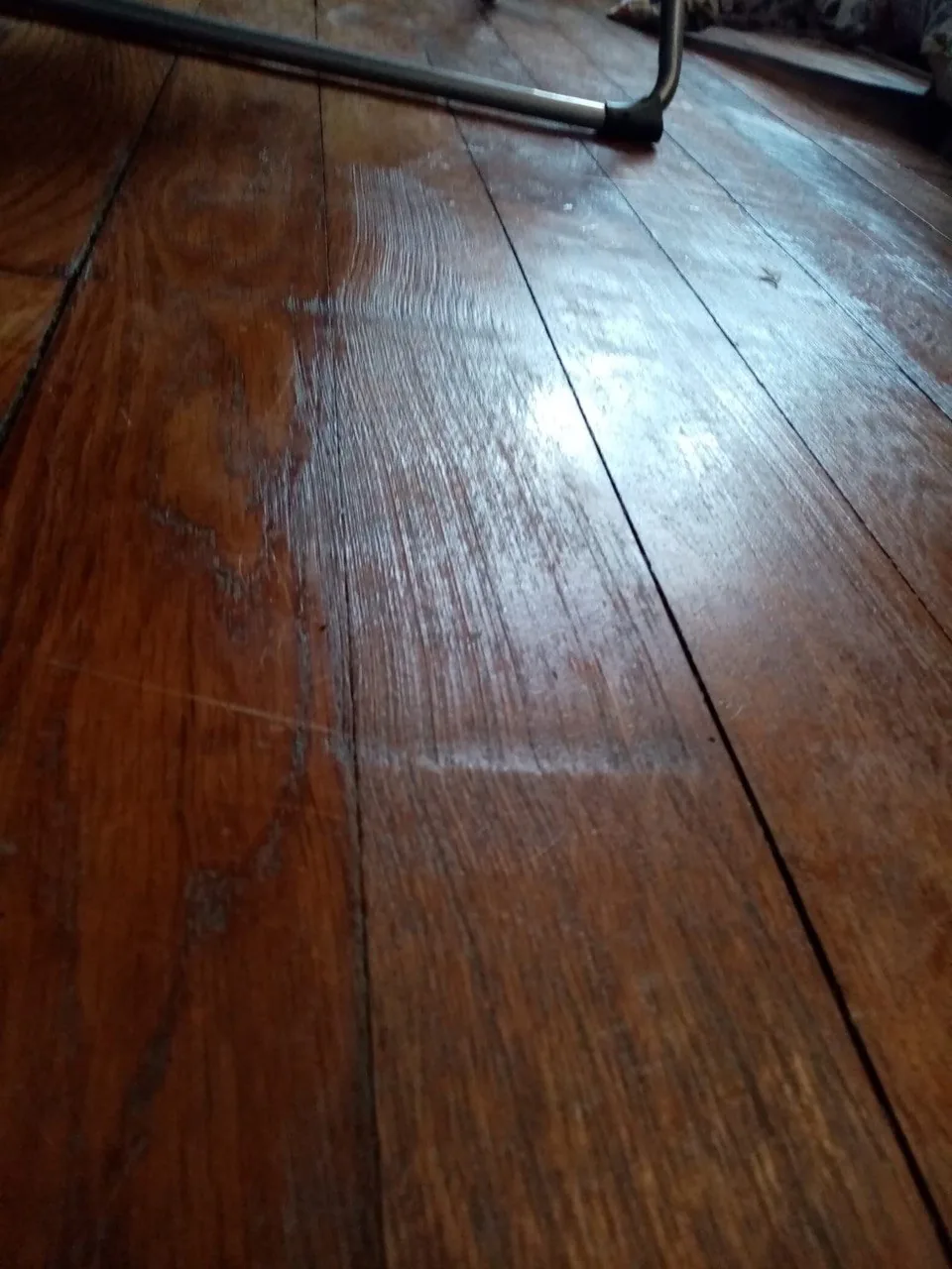 Griffes fines et éraflures sur un parquet en bois sombre, pied de meuble métallique visible